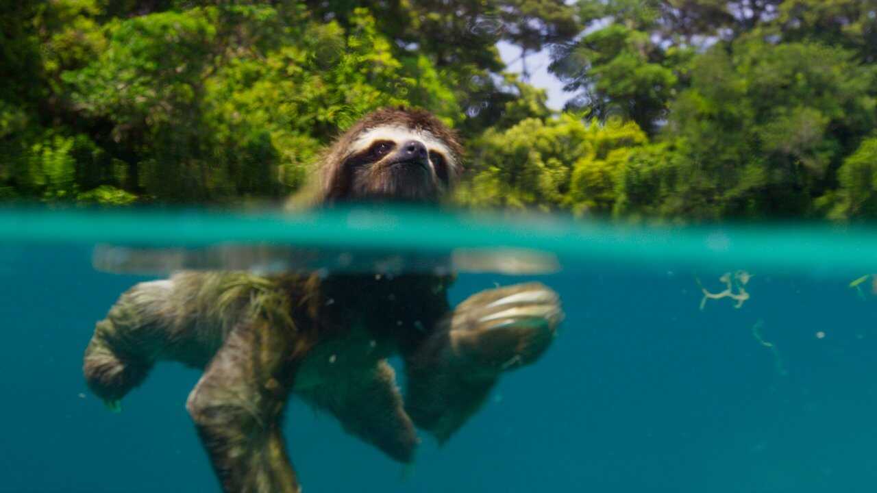 EN - Planet Earth II 4K (2016) 2