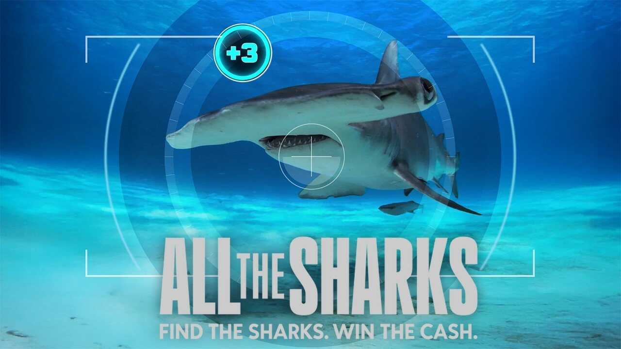 EN - All The Sharks (2025) (US) 0