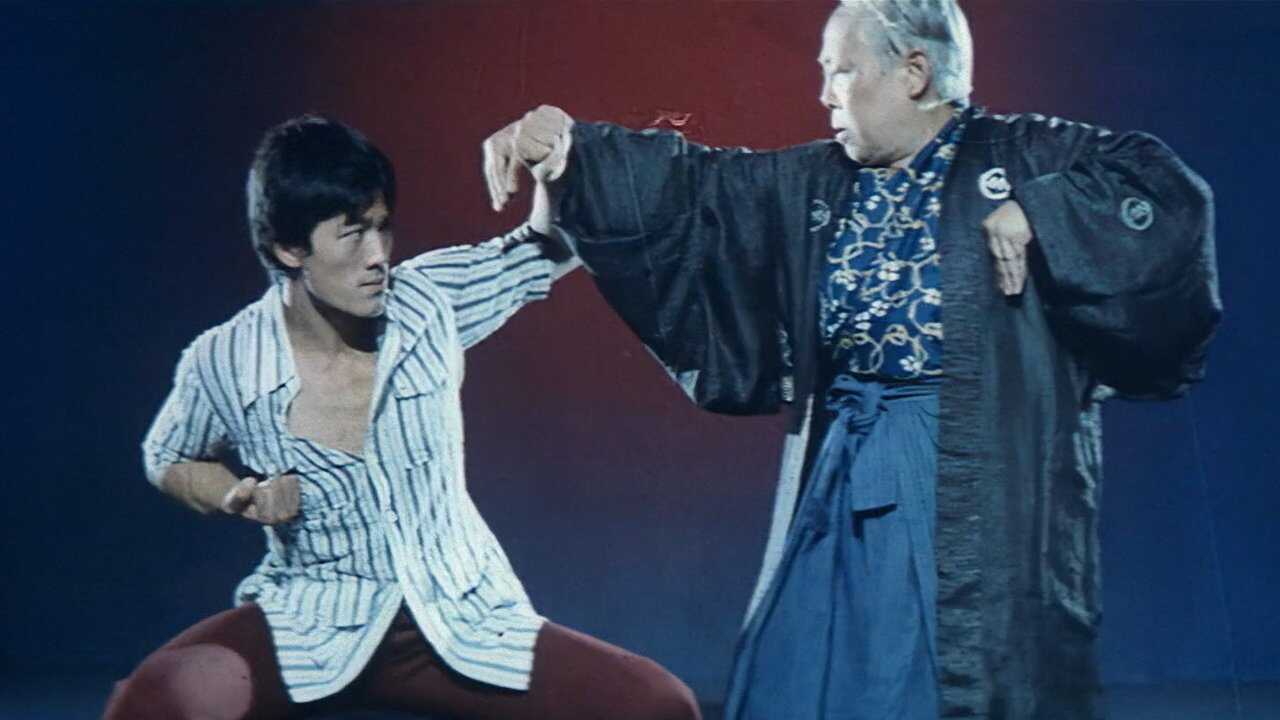 The Legend of Bruce Lee 0