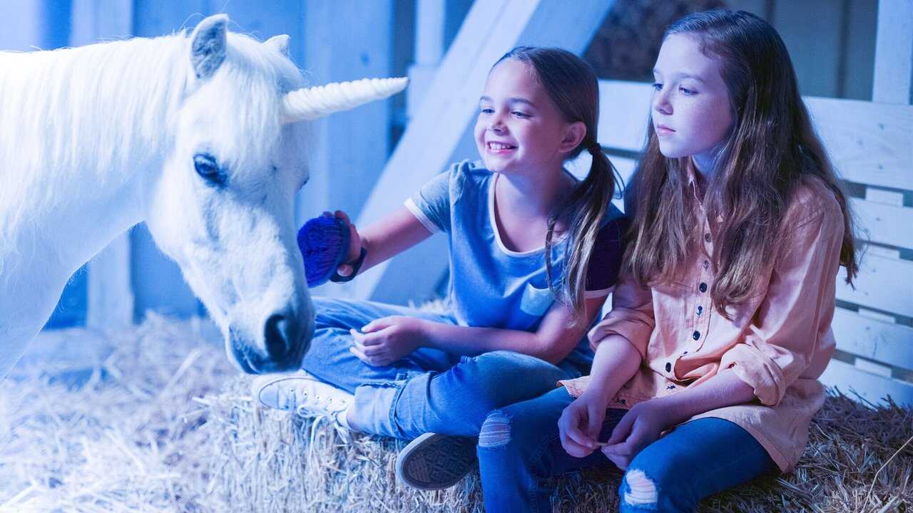 Wish Upon a Unicorn 0
