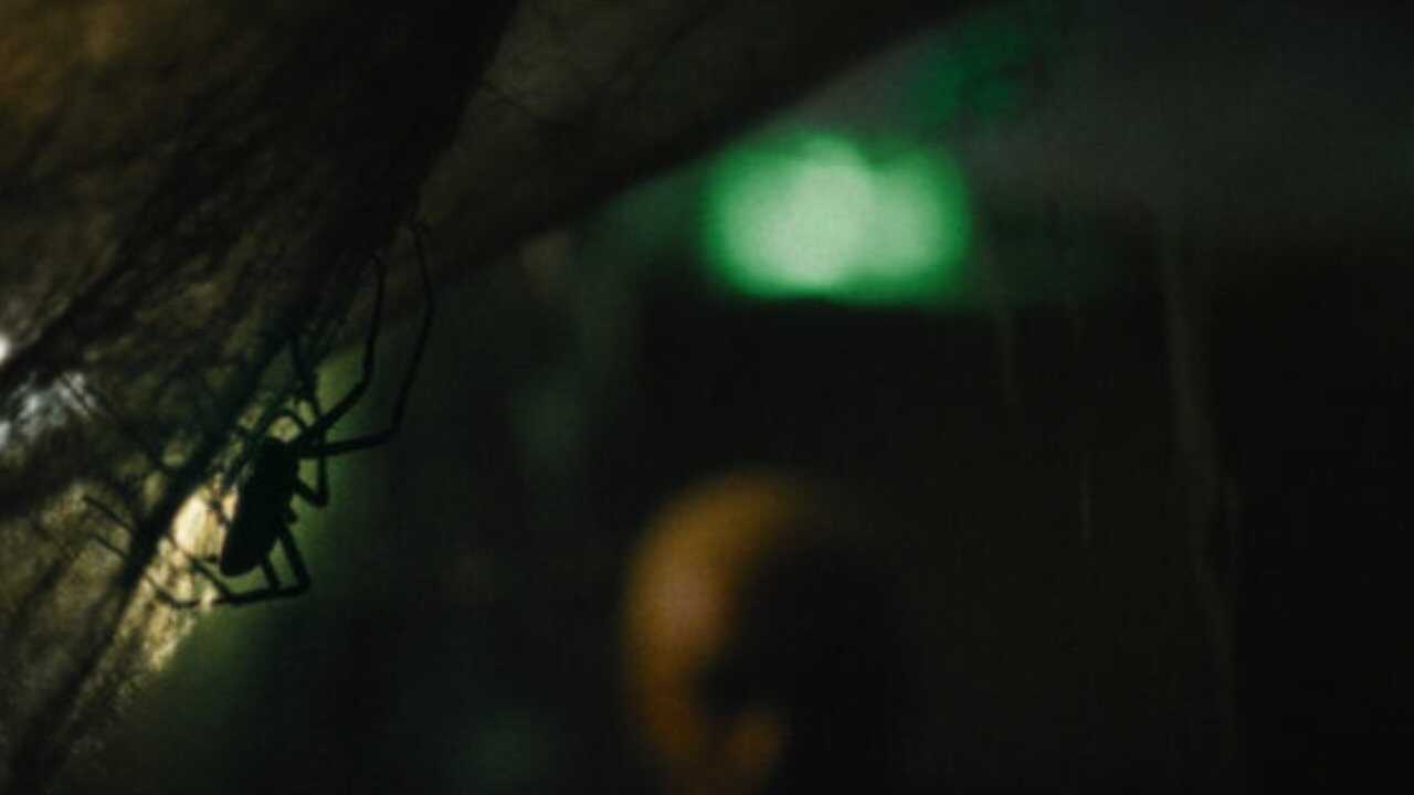 Infested (2023) 0