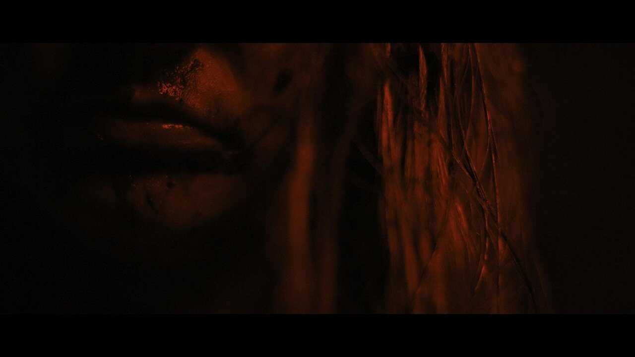 Młodzi kanibale (2019) 0