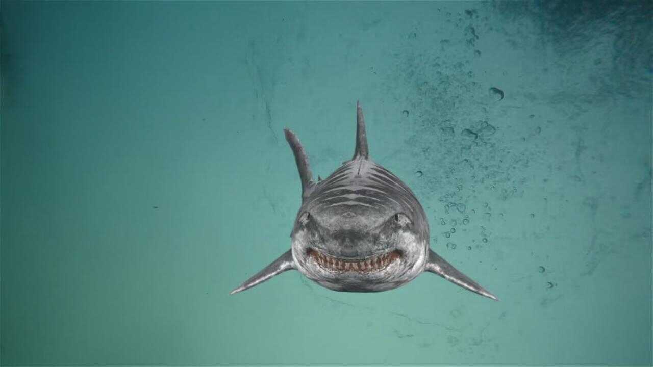 Jurassic Shark 2: Aquapocalypse 0