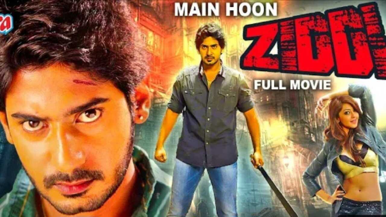 Ziddhi (2013) 0