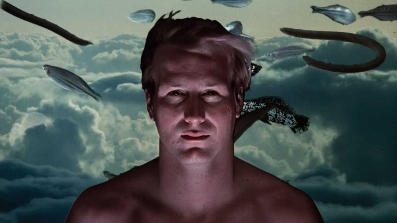 Experimentet (1980) 0