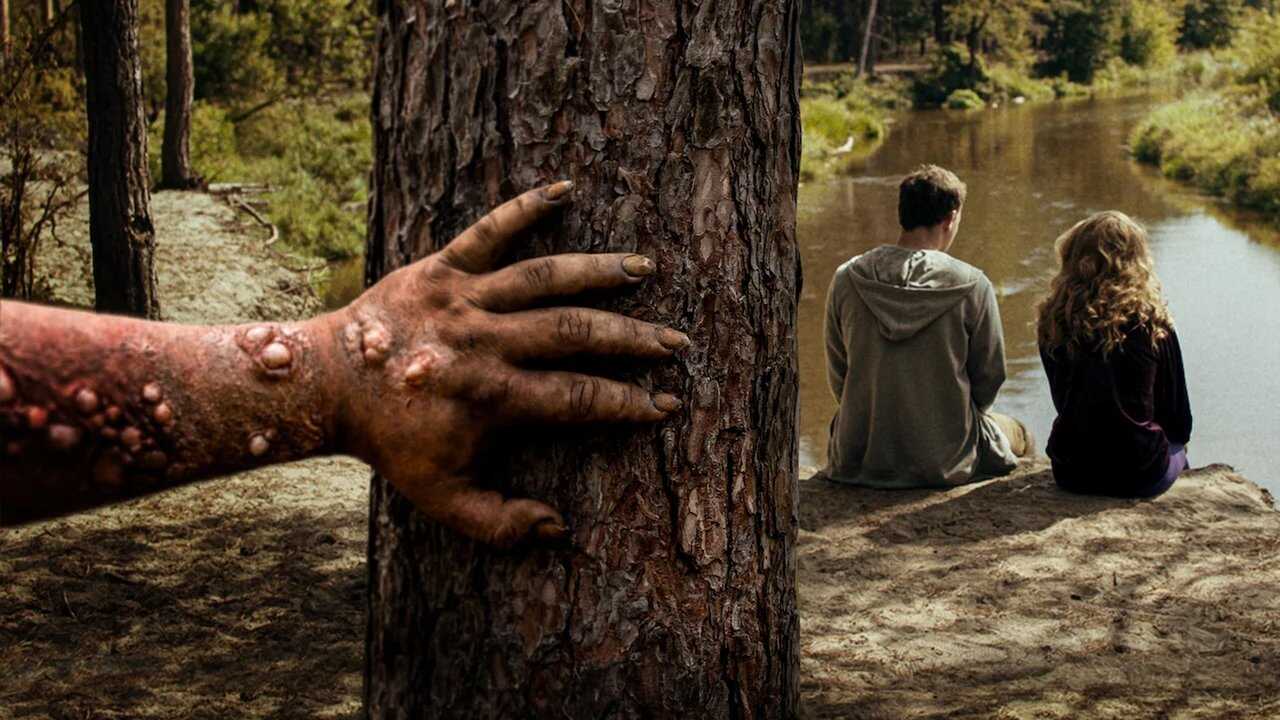Nadie duerme en el bosque esta noche (2020) 0