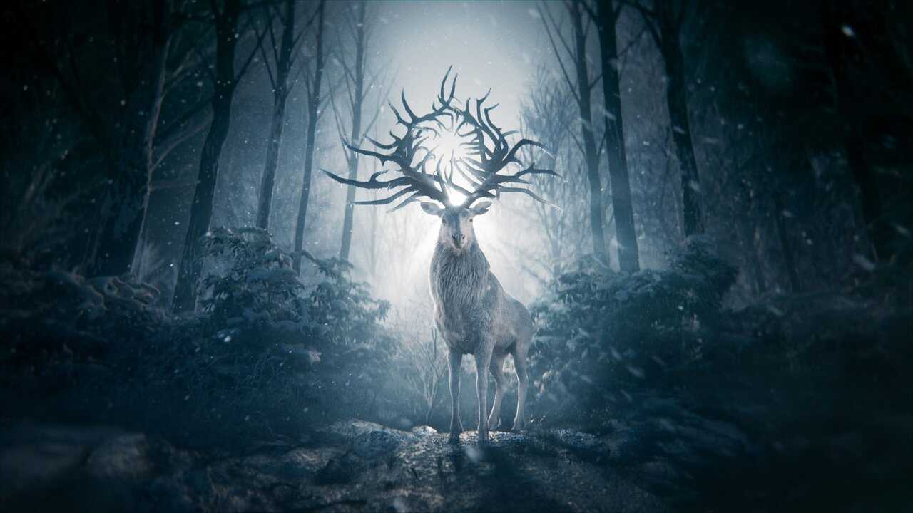 IN - Shadow and Bone 2