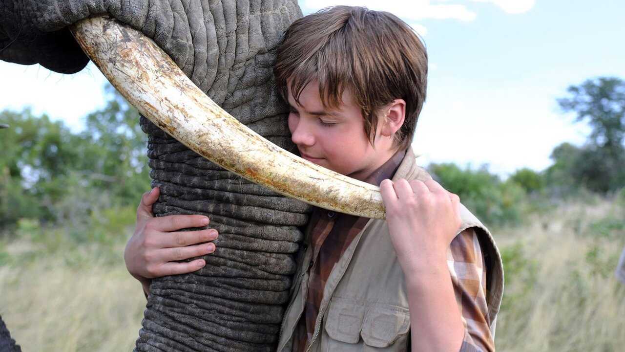 An Elephant's Journey (2018) 0