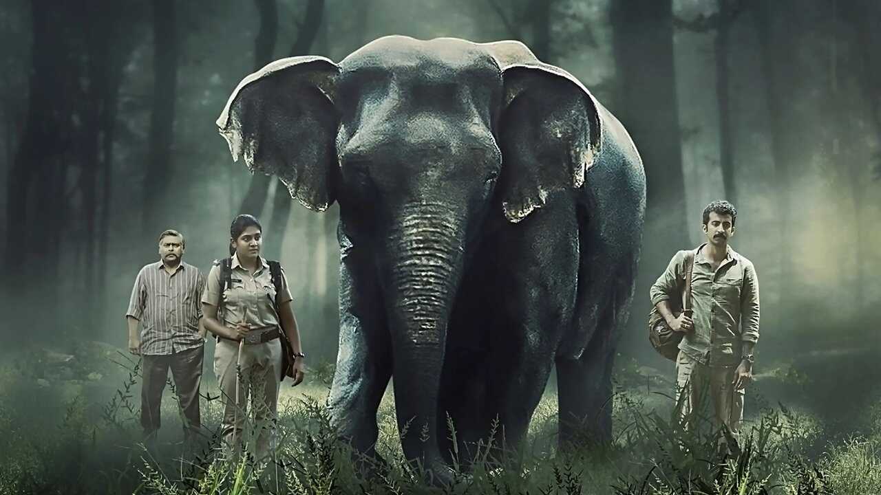 TM - Poacher 4