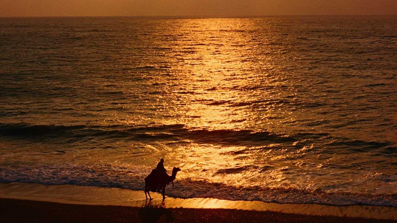 Lawrence de Arabia (1962) 0