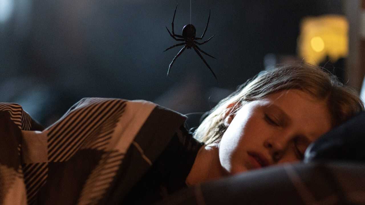 Gniazdo pająka (2024) 0