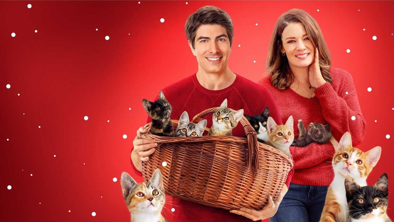 The Nine Kittens of Christmas 0