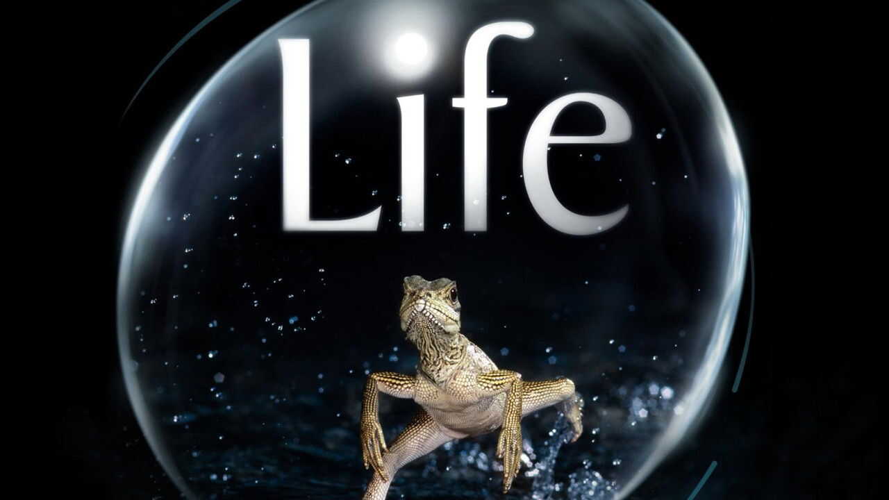 EN - David Attenborough's Life (2009) 3