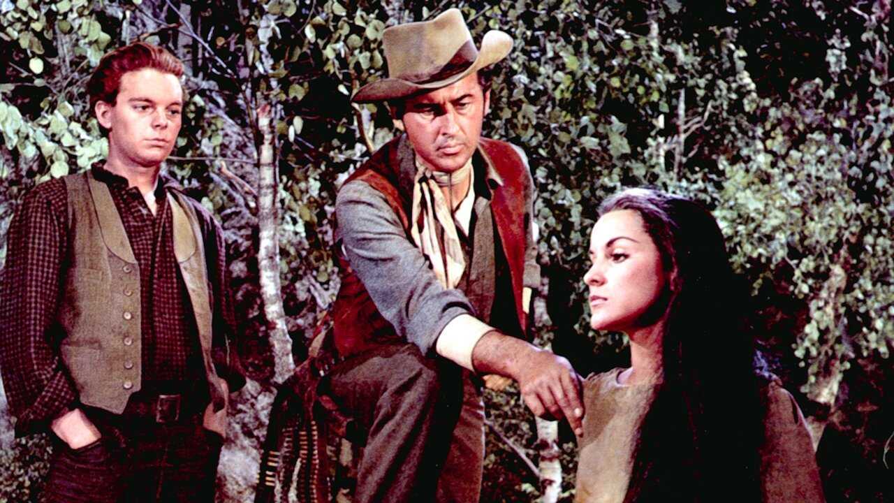 The Last Hunt (1956) 0