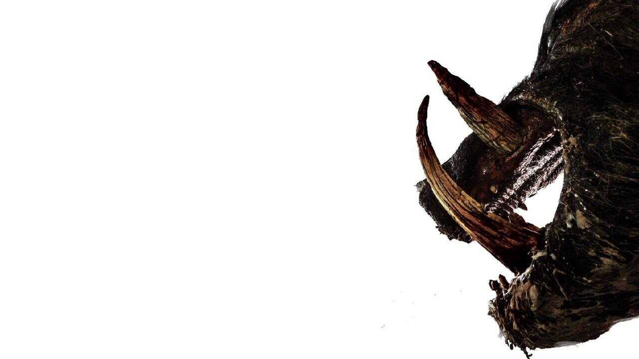 Boar 0