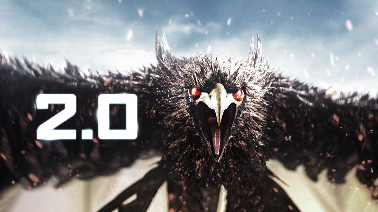 2.0 0