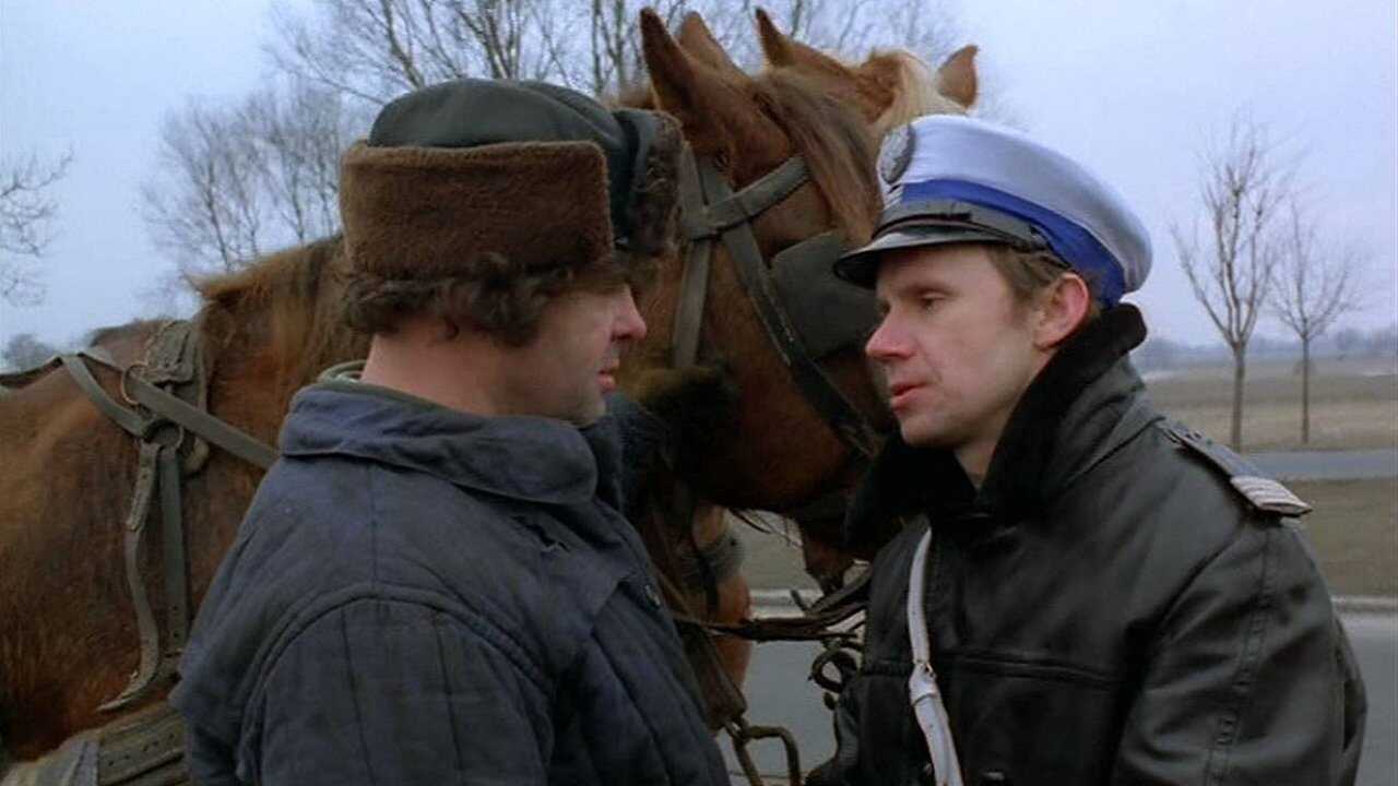 Miś (1981) 0