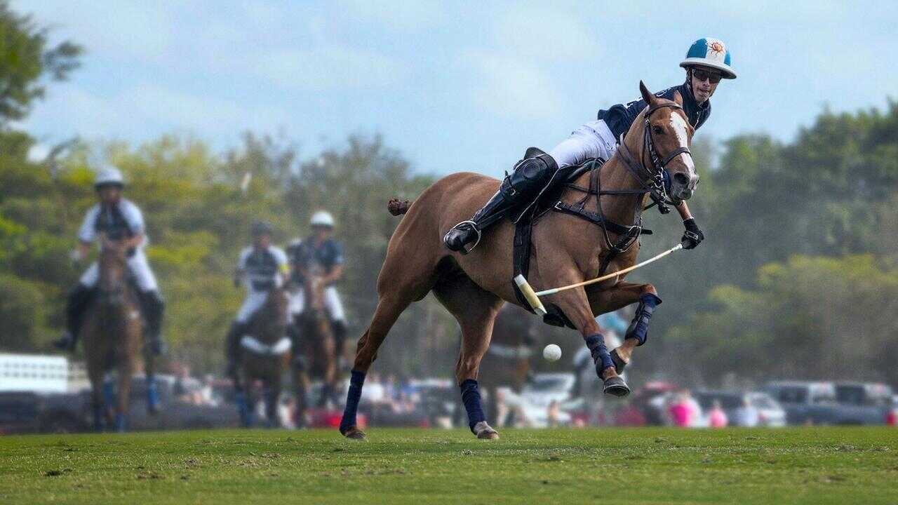 ES - Polo (2024) 0