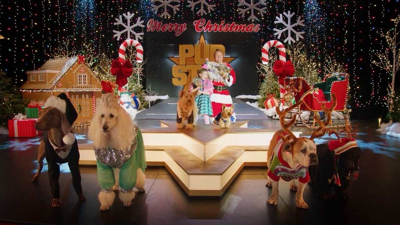 Puppy Star Christmas 0