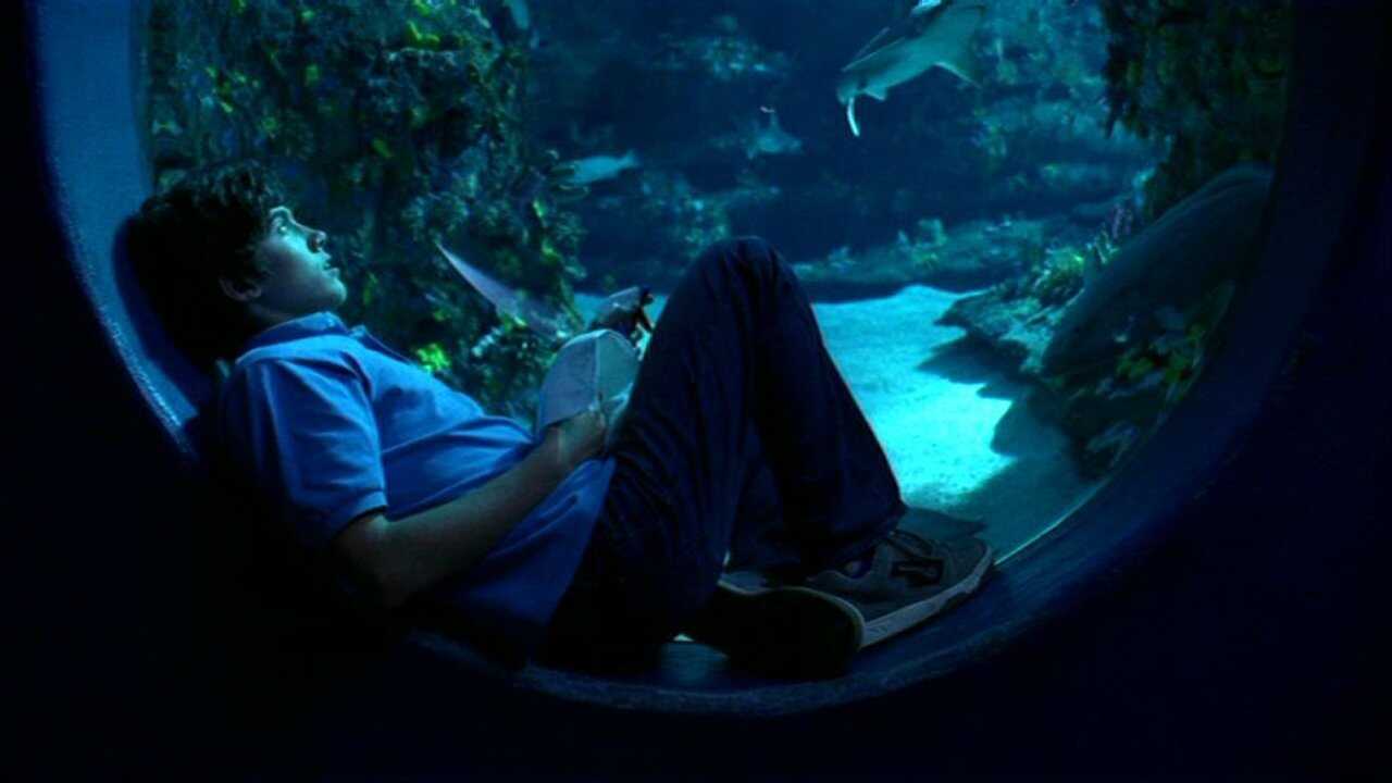 FR - Surface (2025) (FR) 1