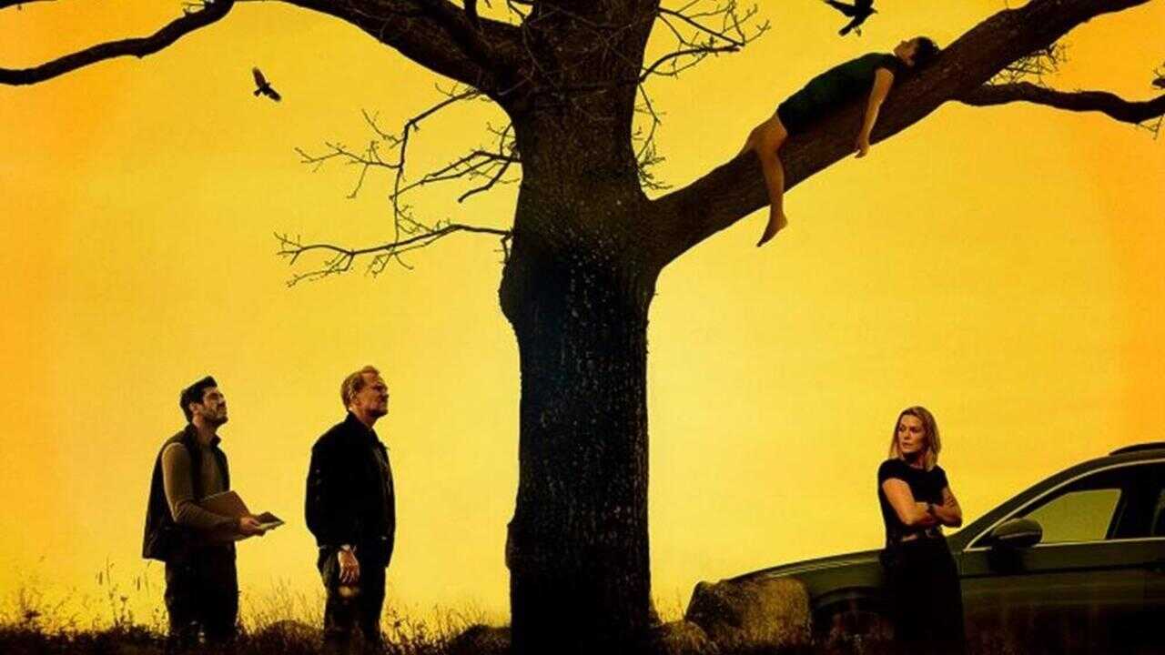 Sin límites (Los casos del Departamento Q) (2024) 0