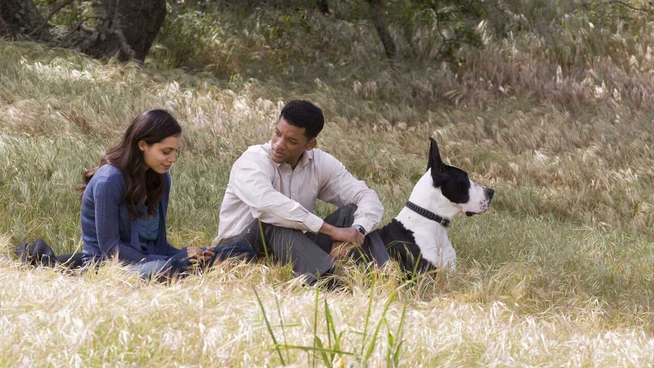 Seven Pounds (2008) 0