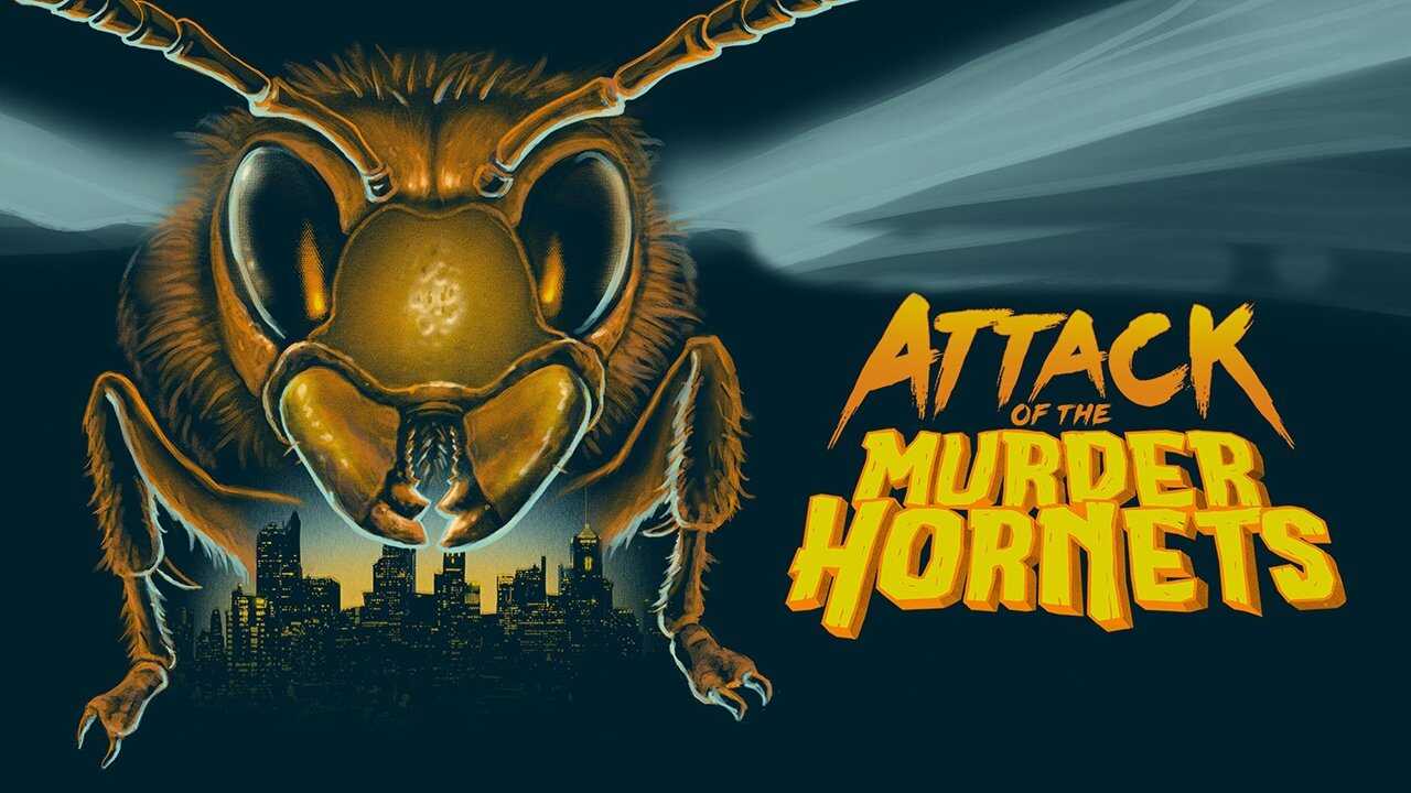 Attack of the Murder Hornets 0