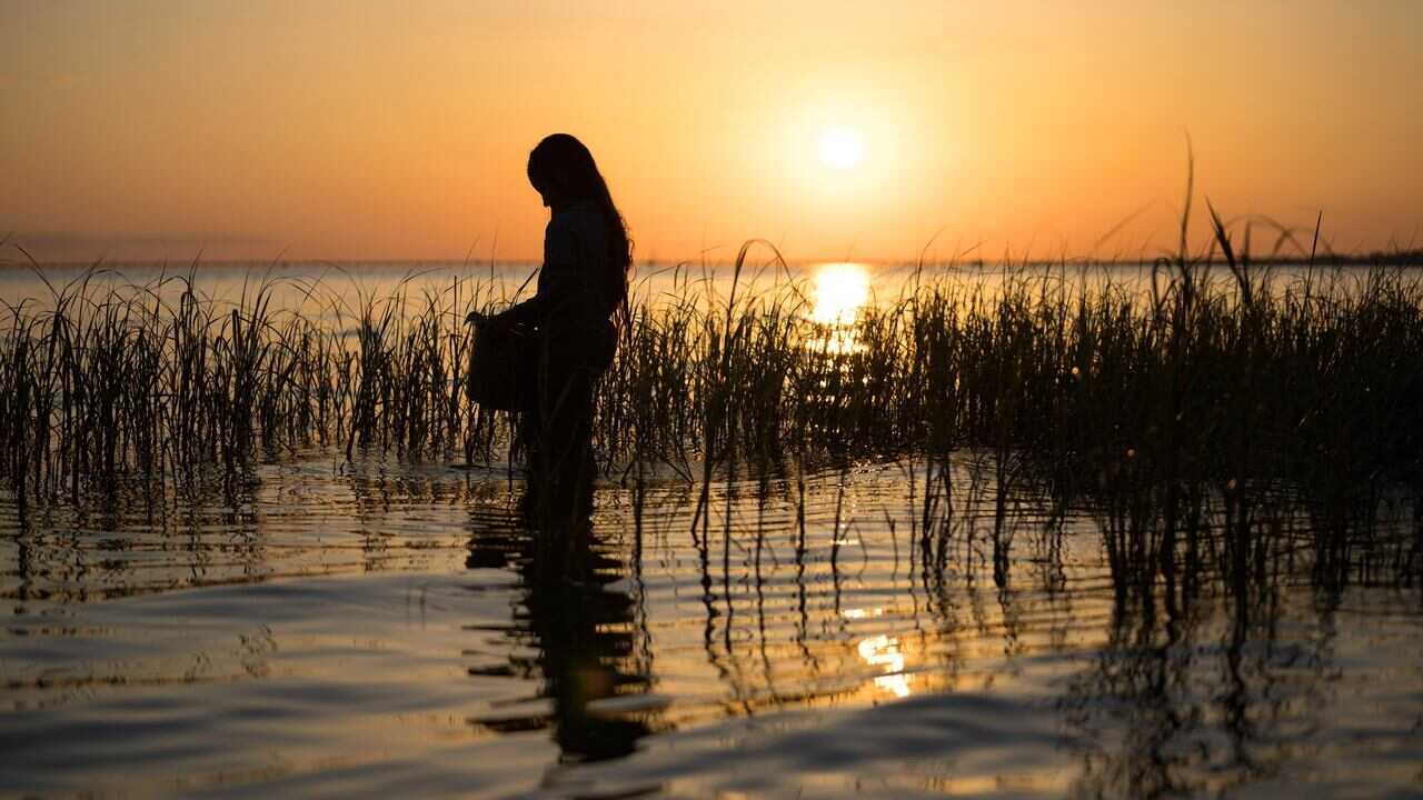 Where the Crawdads Sing (2022) 0