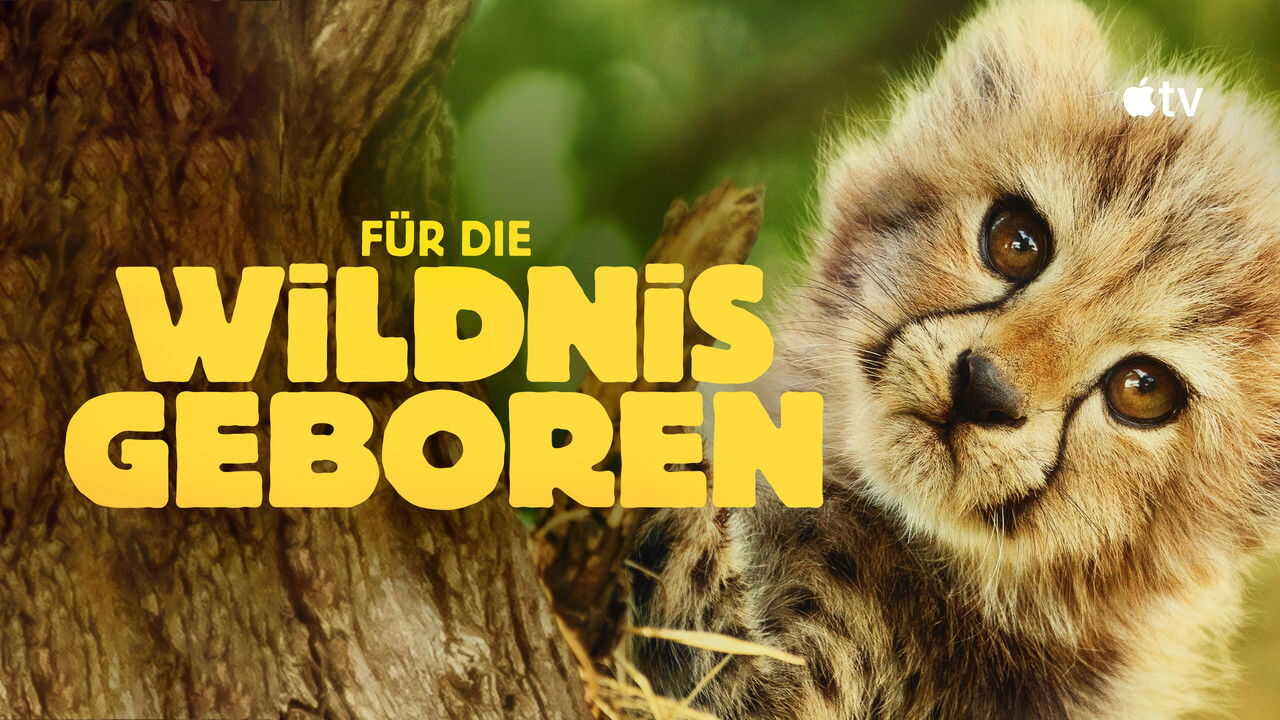 EN - Born To Be Wild (2025) (GB) 1