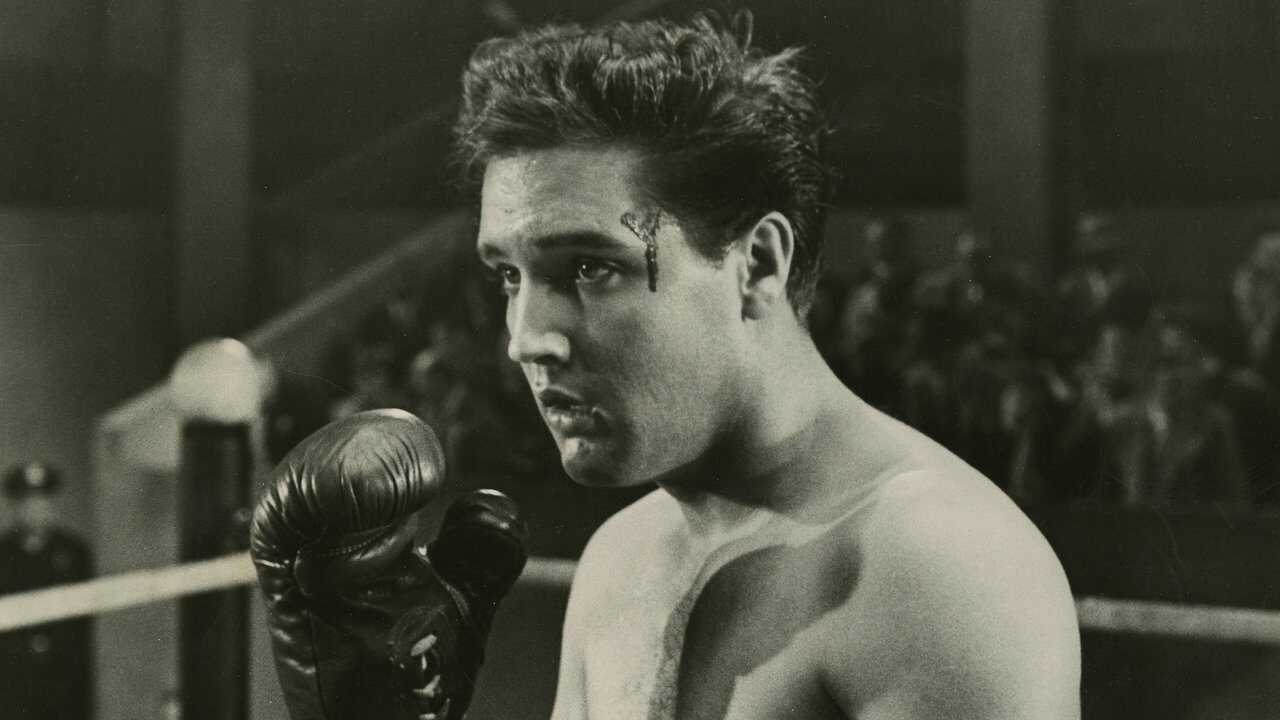 Kid Galahad 0