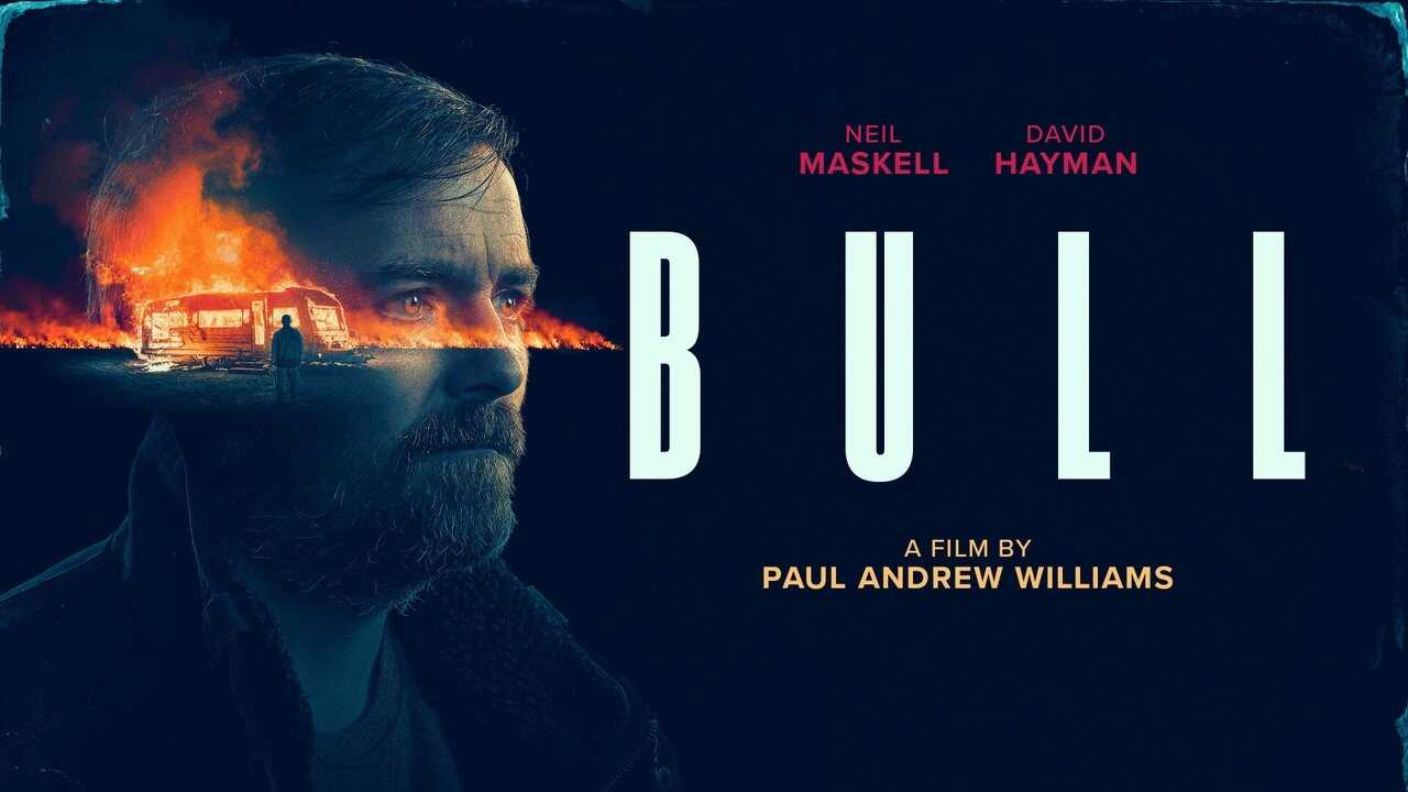 Bull 0