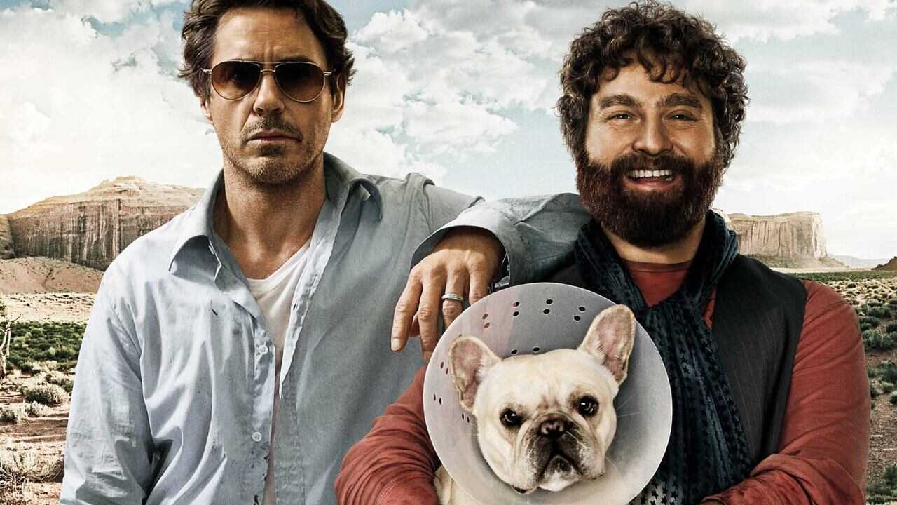 Due Date (2010) 0