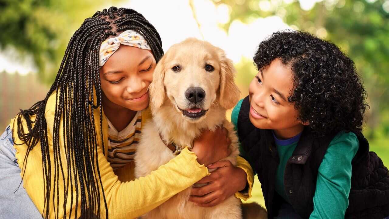 DE - Puppy Place (2021) 0