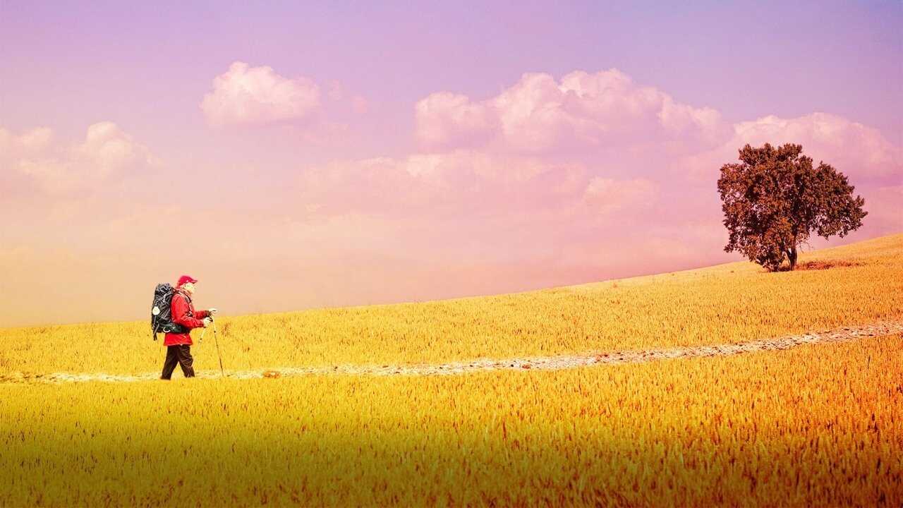 The Way, My Way (2024) 0