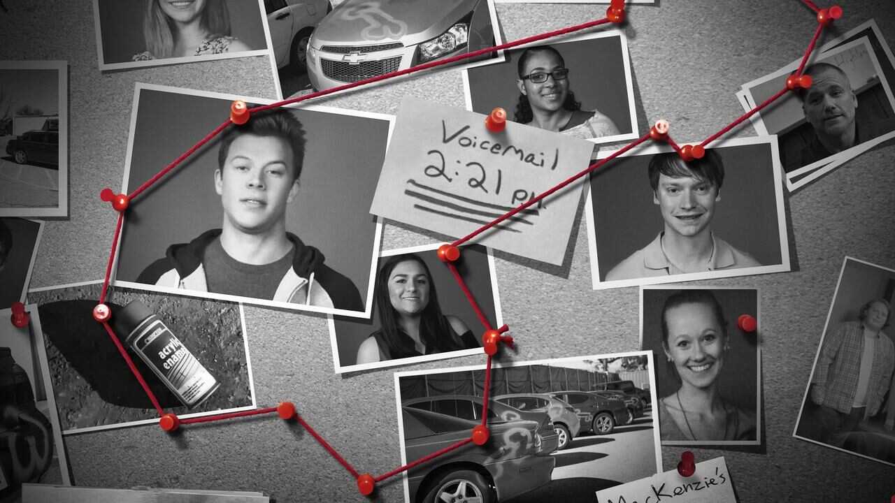 FR - American Vandal 0