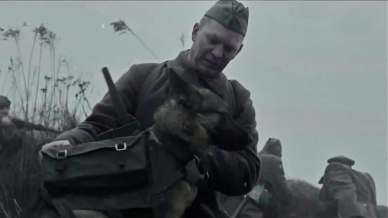 Obrońca (2016) 0