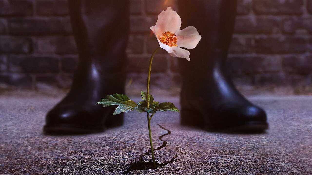 DE - The Man in the High Castle (2015) (US) 0