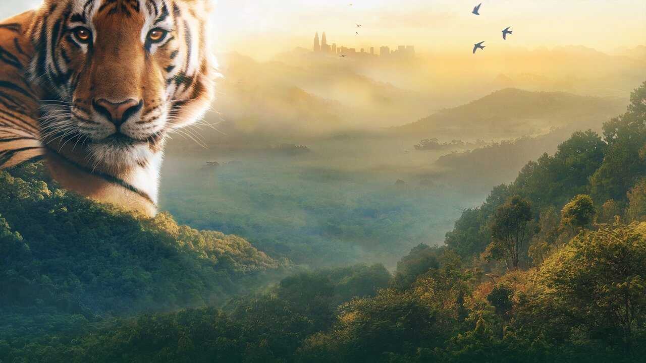 EN - Asia (2024)  David Attenborough 1