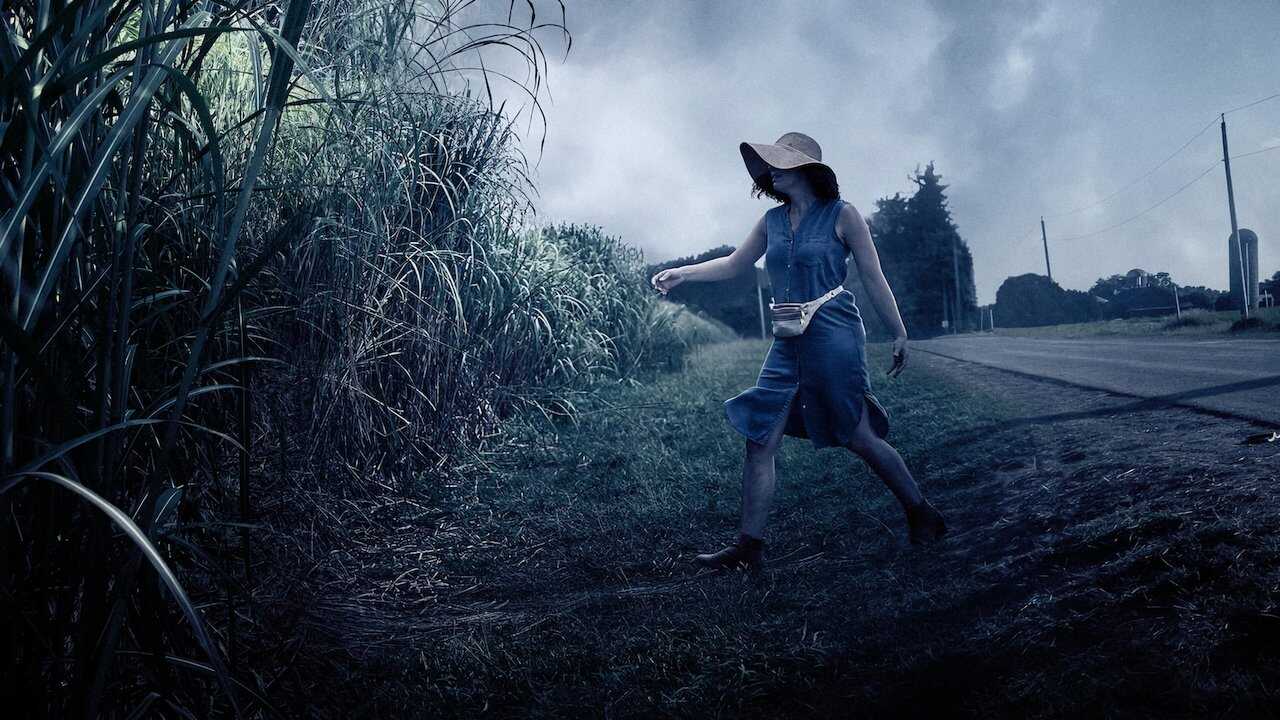 In the Tall Grass 0
