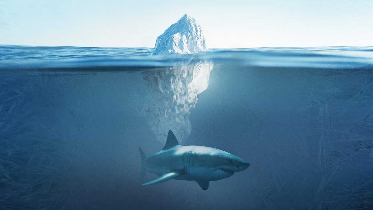Shark Below Zero 0