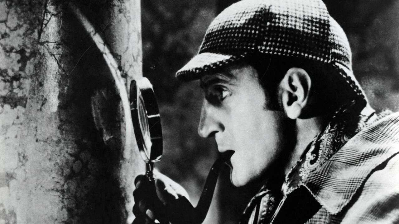 The Hound of the Baskervilles 0