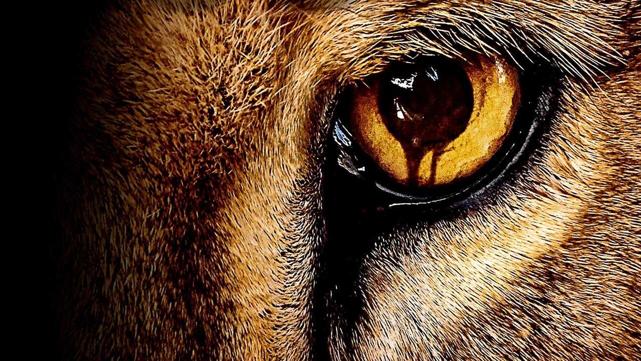 FR - Zoo 0