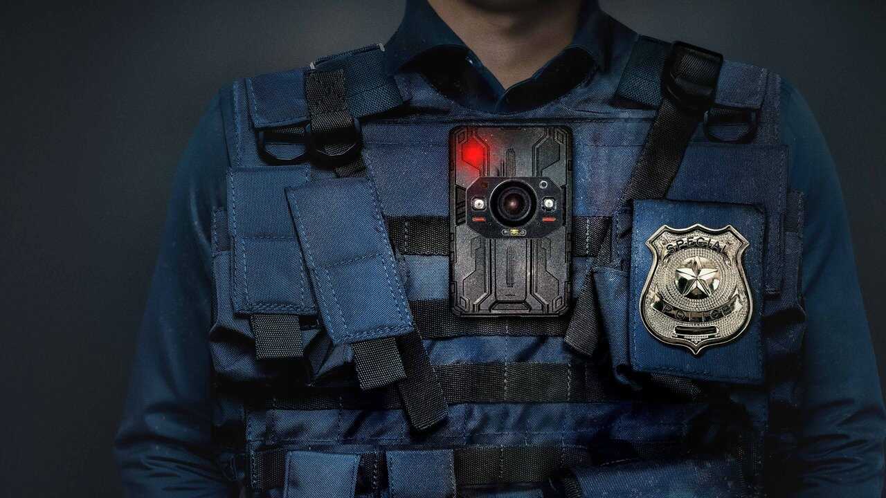 EN - PD True (2024) 1