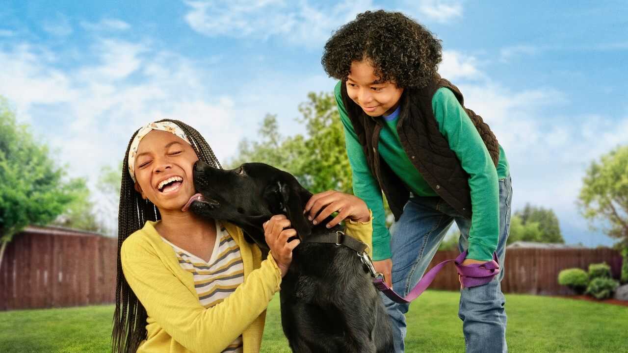 DE - Puppy Place (2021) 1
