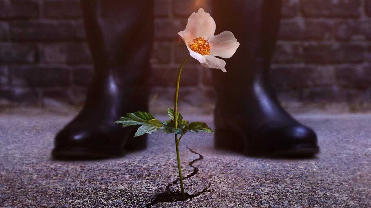 DE - The Man in the High Castle (2015) (US) 2