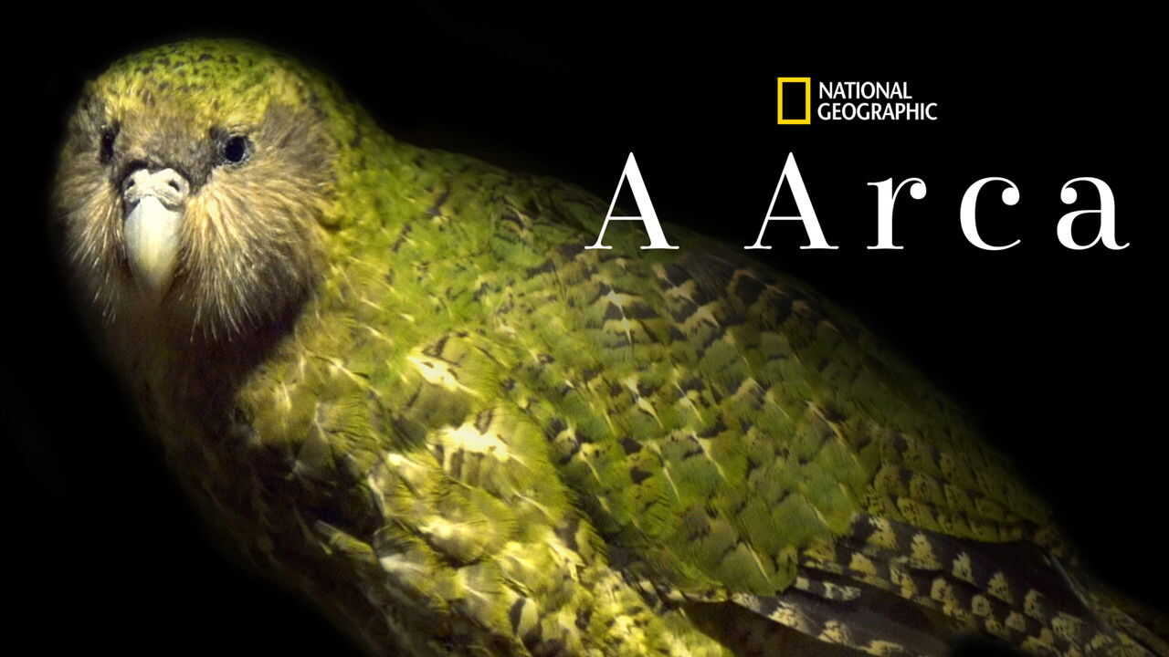 EN - Photo Ark (2017) 2