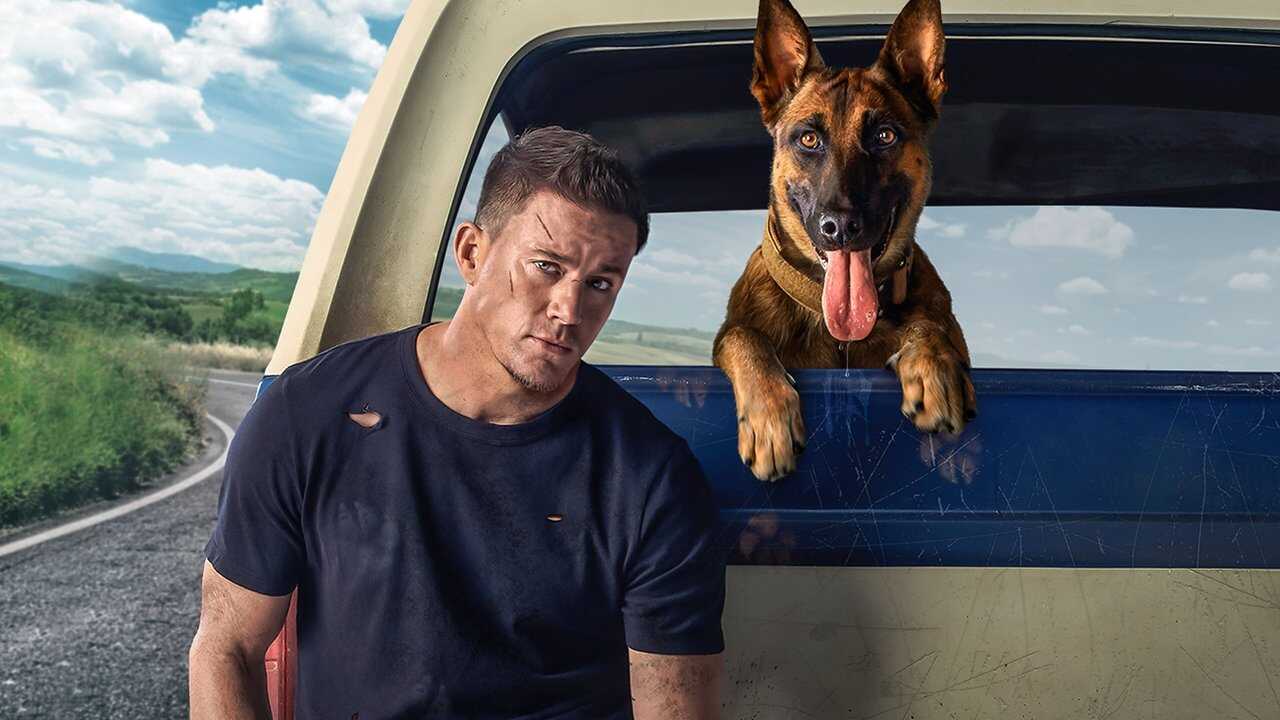 Dog 0