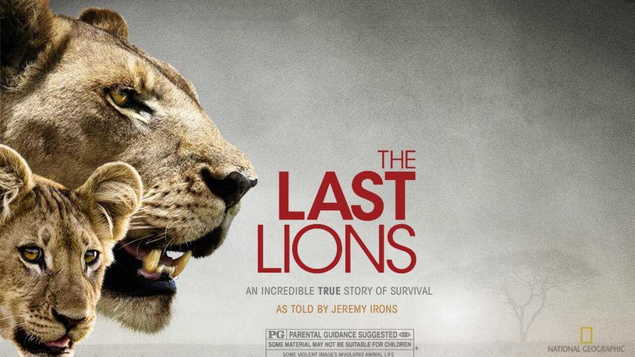 The Last Lions 0
