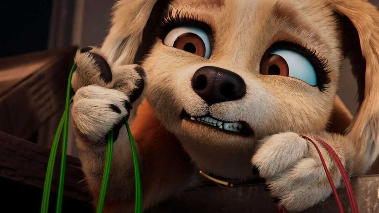 Gracie and Pedro: Pets to the Rescue (2024) 0