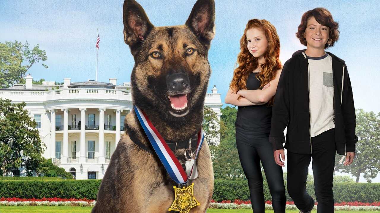Max 2: White House Hero (2017) 0